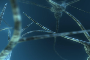 2121�Ƿ���(�й���)�����ٷ���վ