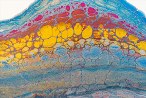 2121�Ƿ���(�й���)�����ٷ���վ