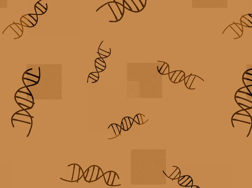 2121�Ƿ���(�й���)�����ٷ���վ