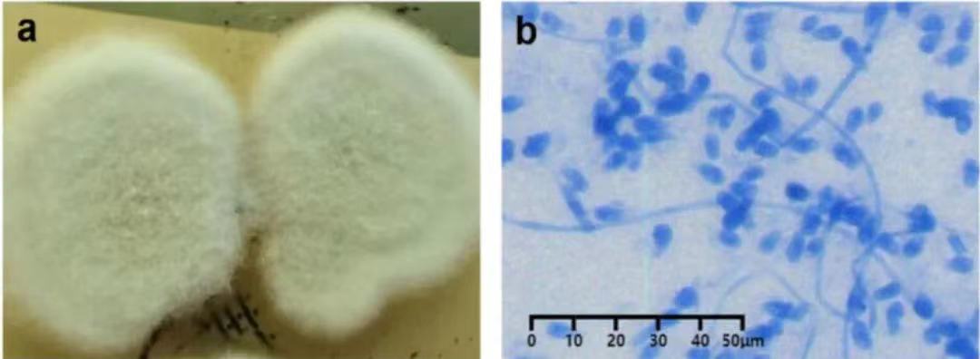 1678351537263220.jpg ΢ÐÅͼƬ_20230309164320.jpg