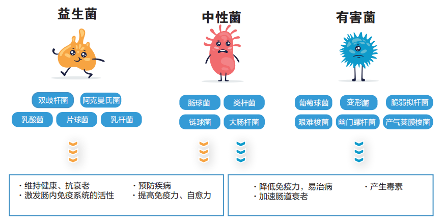 1694658881799787.png ͼƬ1.png