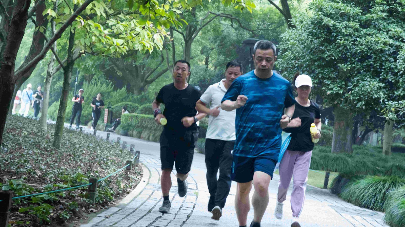 1696925596907056.jpg ÁìÅÜ.jpg