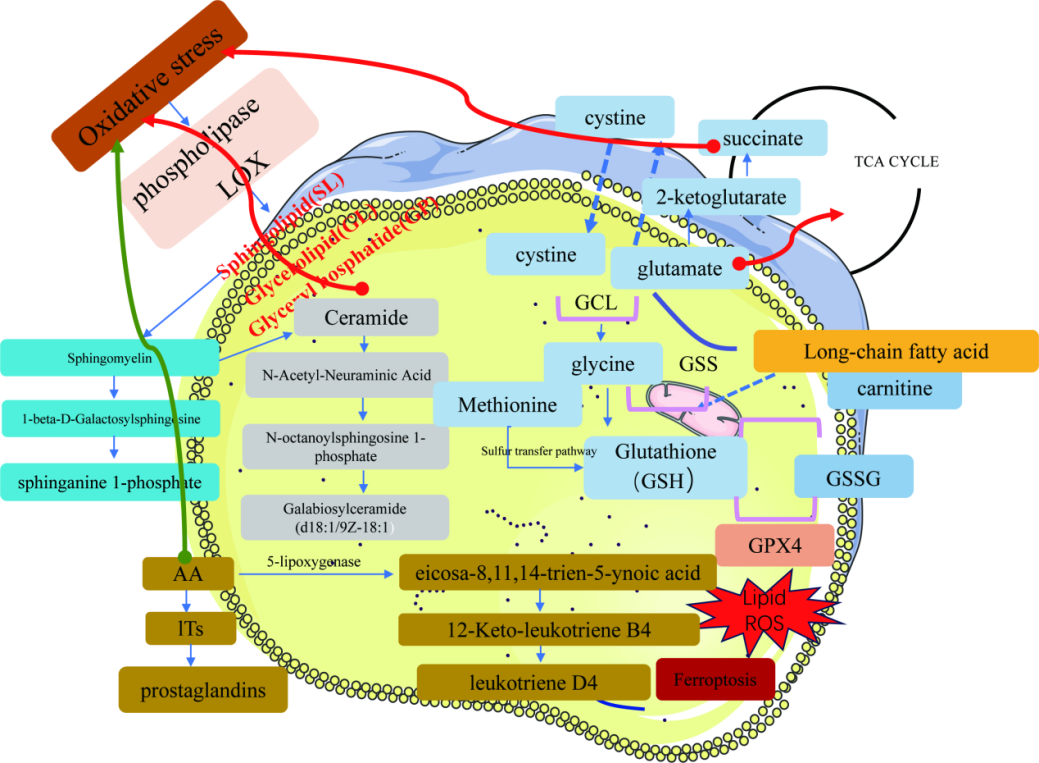 1708997655681761.png ͼƬ 2.png