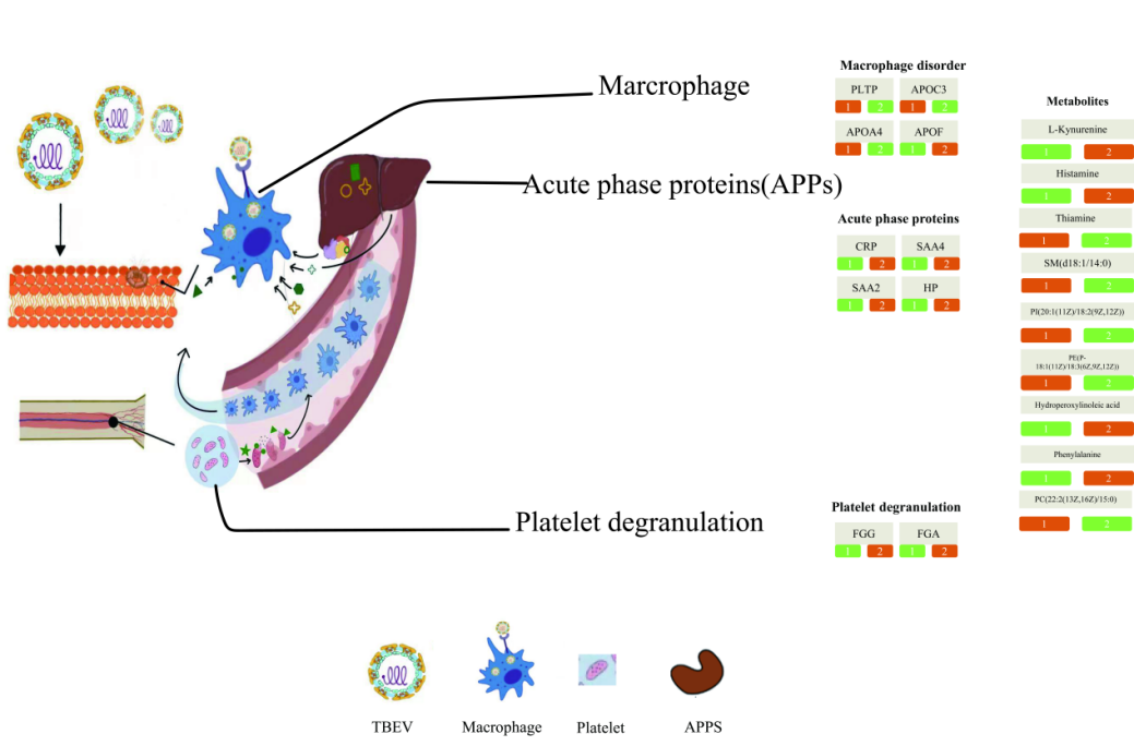 1708997720387896.png ͼƬ 4.png