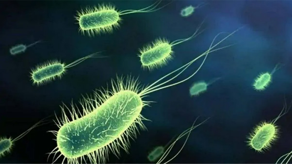 1718193299364822.jpg 2.jpg