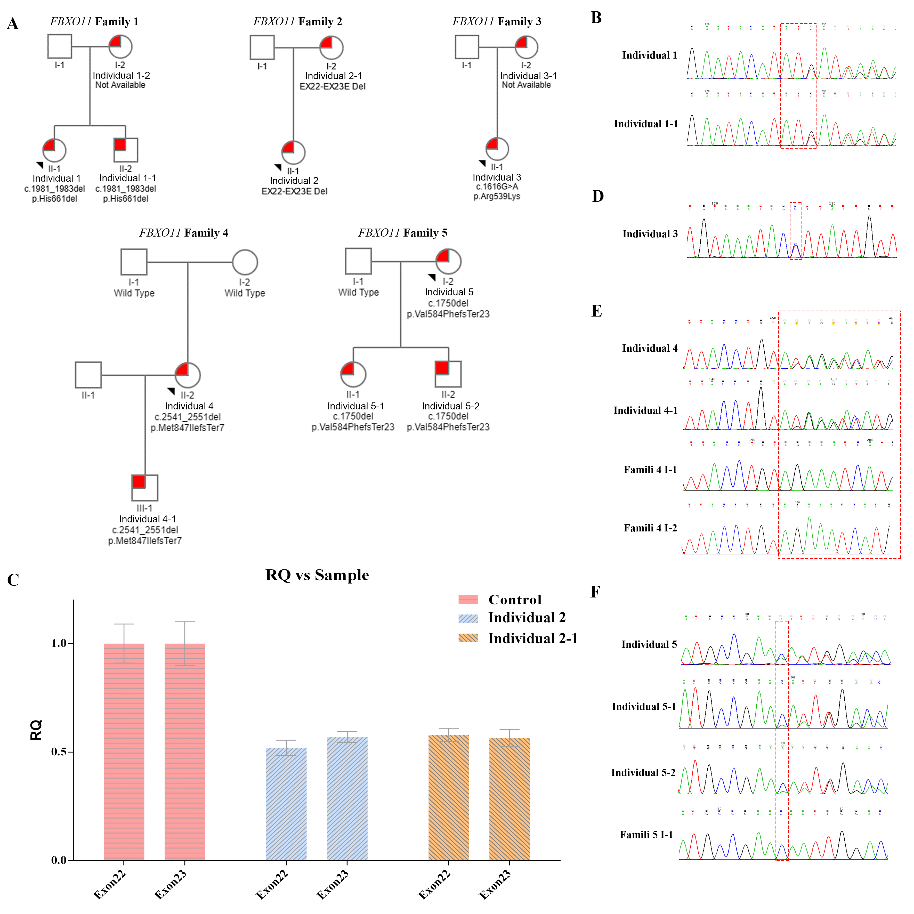 1718262834601160.png ͼƬ 2.png