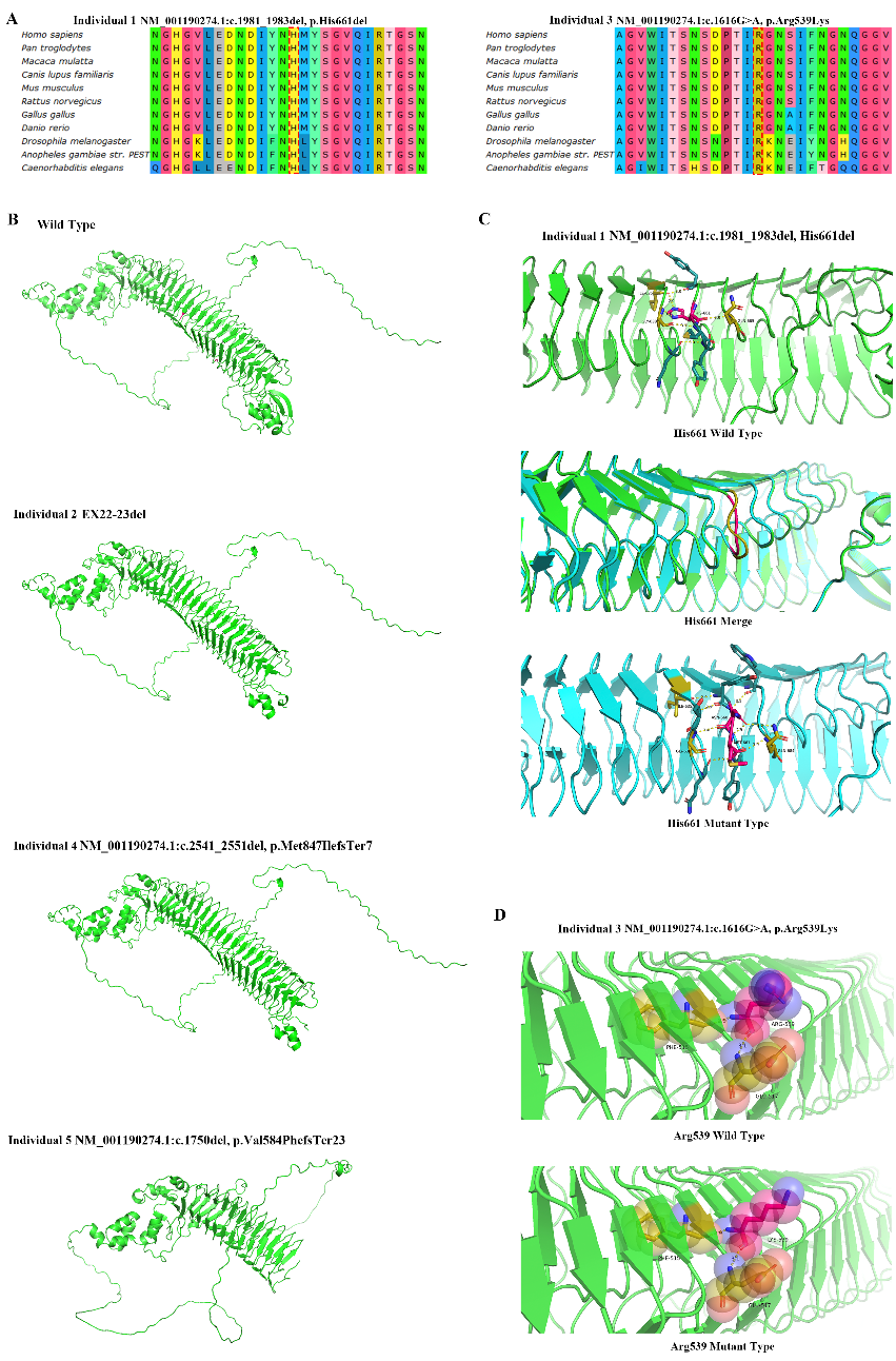 1718262885896526.png ͼƬ 4.png