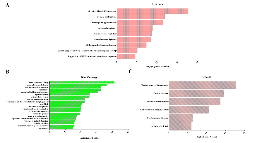 1718262913521733.png ͼƬ 5.png