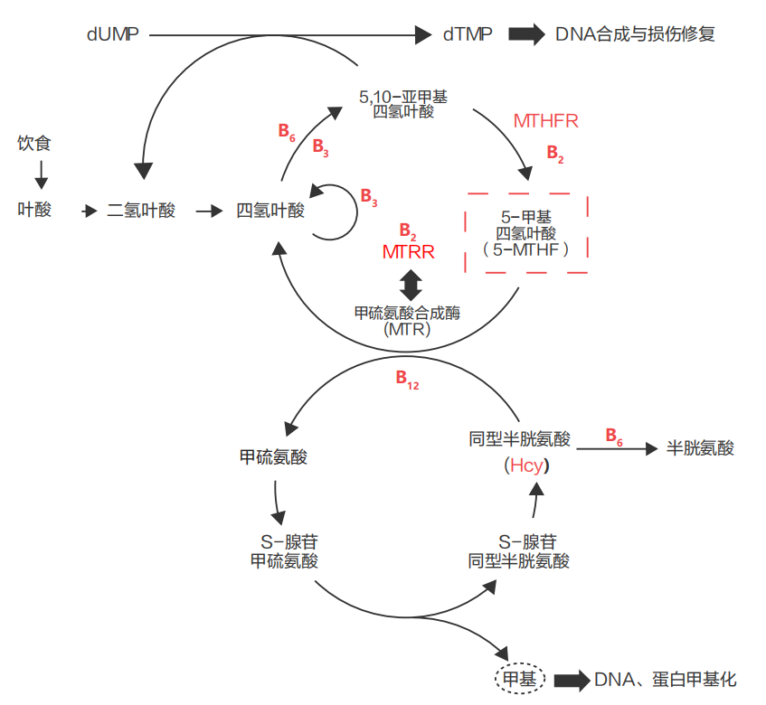 1723770826335360.png 图片 2.png