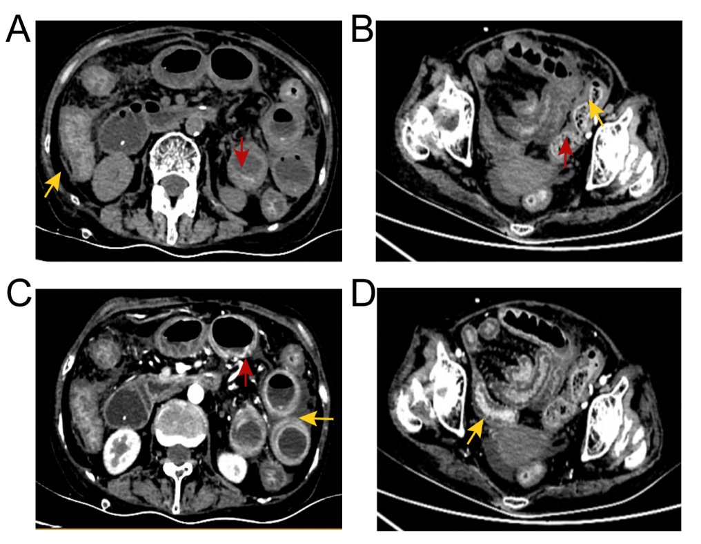 1723771198787078.png ͼƬ 3.png