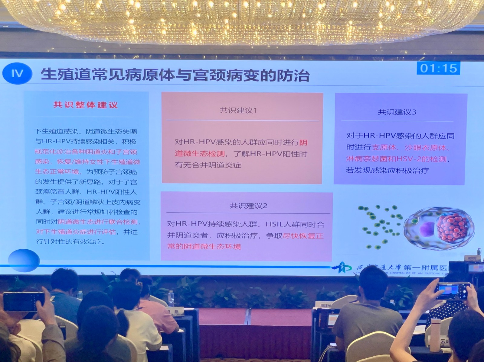 1725937264249958.jpg IMG_5283 2.jpg