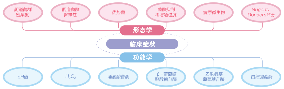 1725937274391799.png ͼƬ2.png