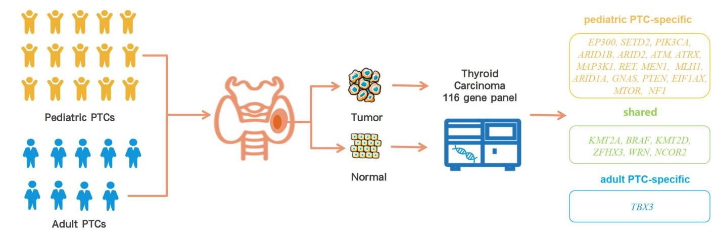 1728457572408703.png ͼƬ1.png