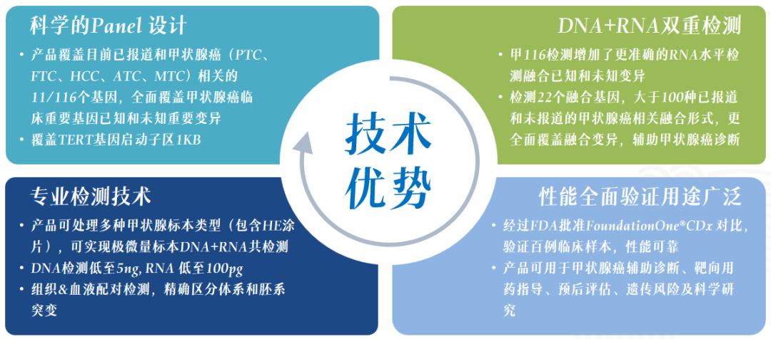 1733994359595231.png ͼƬ 5.png