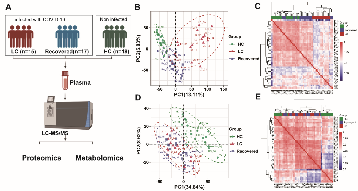 1736735311896707.png 图片 1.png