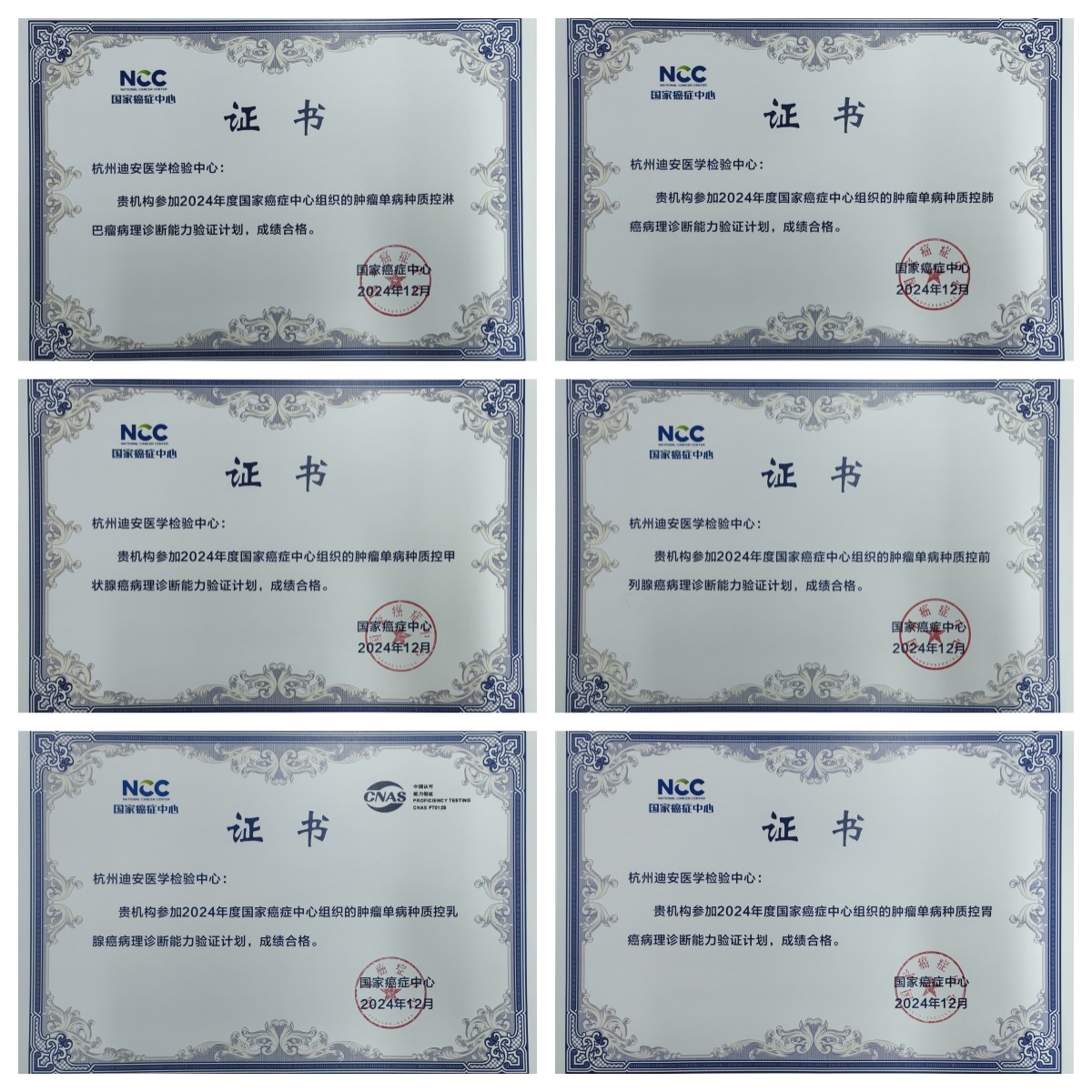 1736735766555691.jpg 证书拼图.jpg