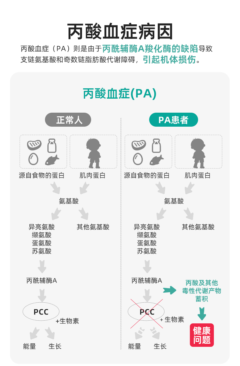 1739525504454295.png lQLPJxkzzcqqH1nNBLLNAxaw01wdipOnNNEHkOtbBfvCAQ_790_1202.png