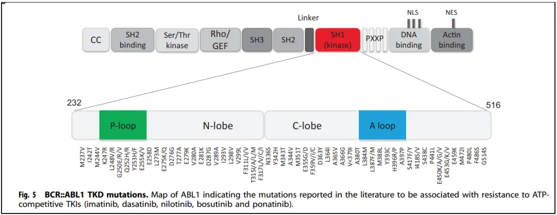 1749869714575423.png 6.png