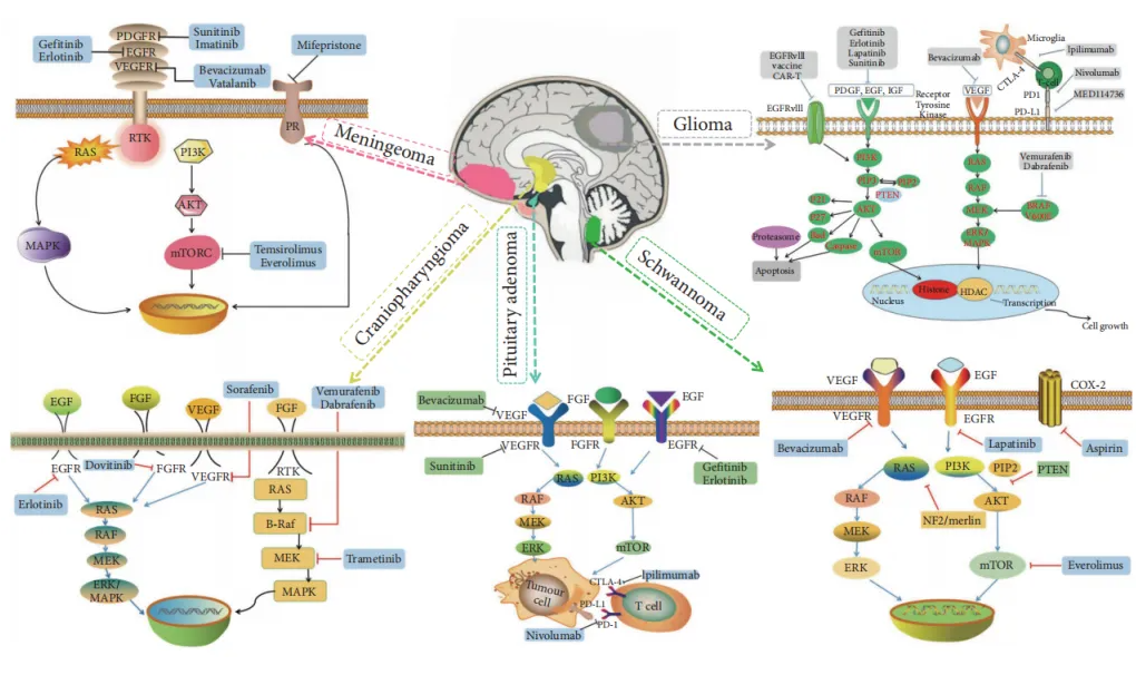 1749871110189188.png 3.png