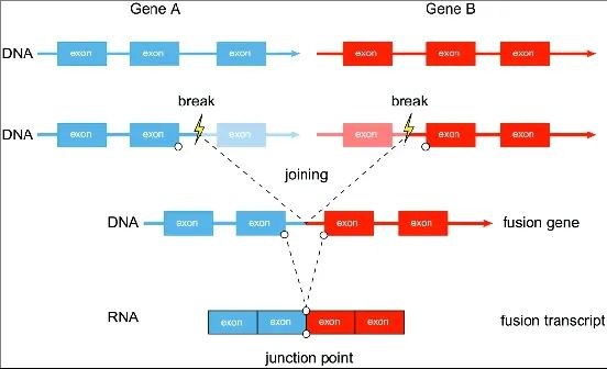 �ü���ת (16).jpeg