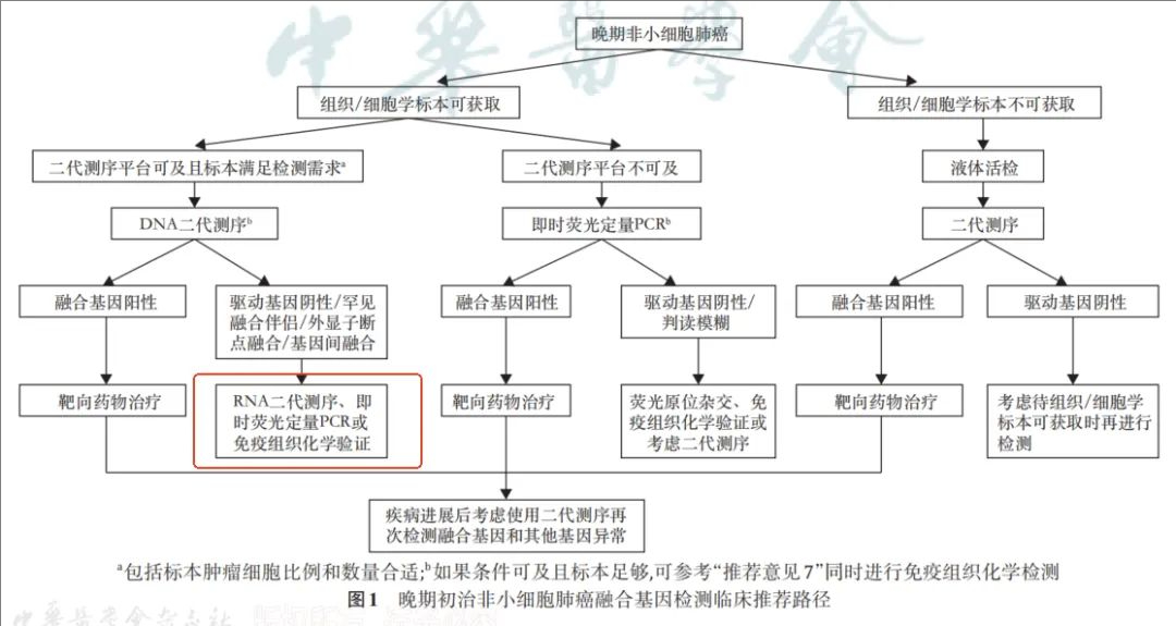 �ü���ת (19).jpeg