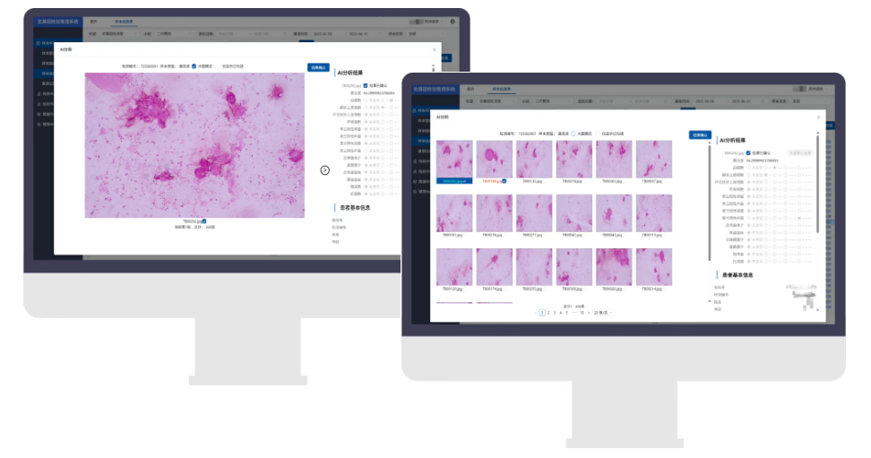 1750140739926103.png 5.png