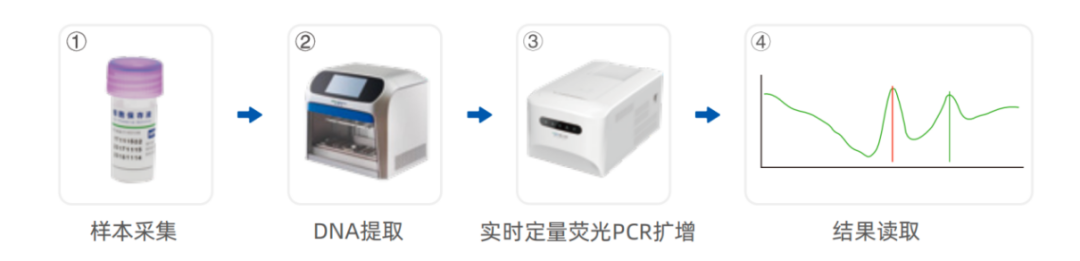 1750769391492490.png 6.png