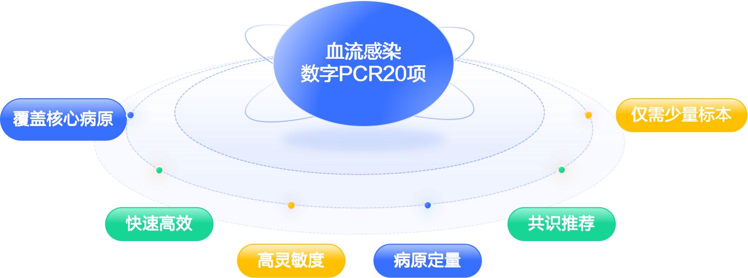 1751508854680189.png 1.png