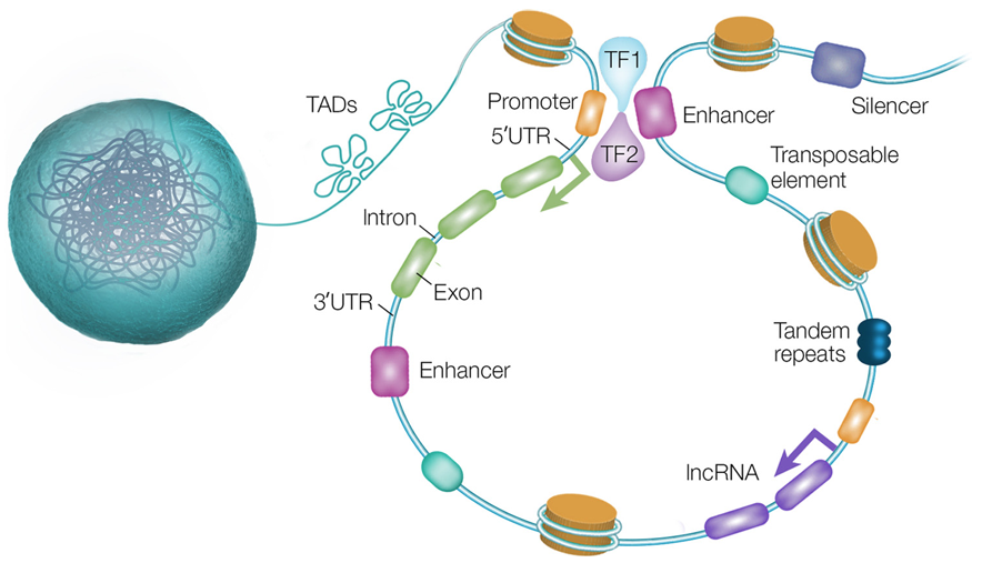 1751509395188417.png 3.png