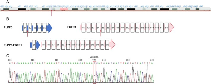 1754036021293472.png 2.png