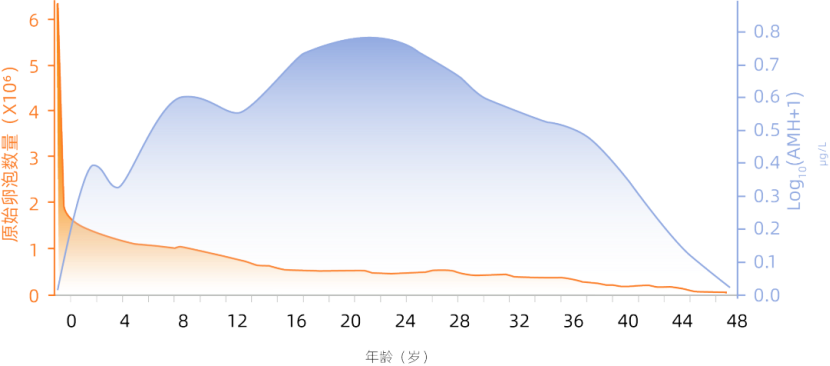 1761558515833258.png 4.png