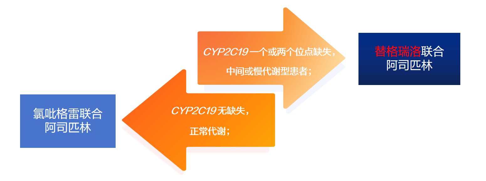 1761873600913689.png 7.png