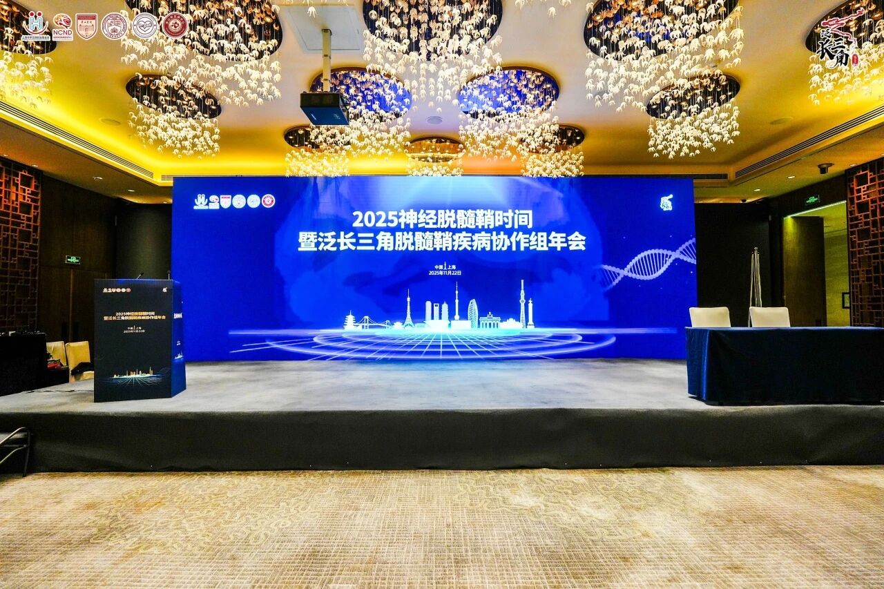 1764900826186774.jpg 1.jpg