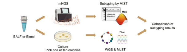 1764901415603663.png ΢ÐÅͼƬ_2025-12-05_102243_455.png