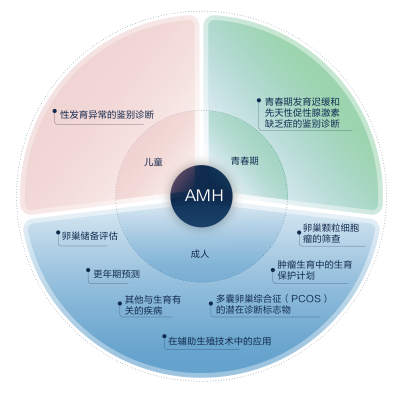 1768290746405314.png 1768290746405314.png