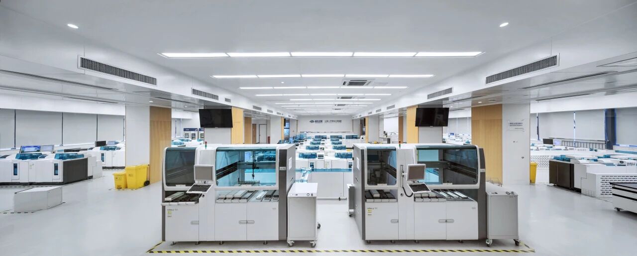 1770864335560395.jpg 1770864335560395.jpg