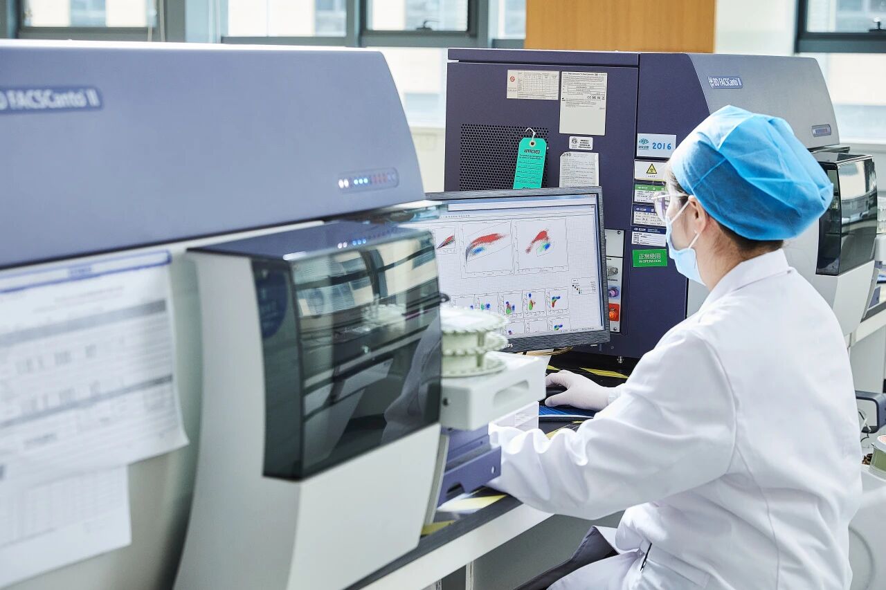 1772675567456329.jpg 1772675567456329.jpg