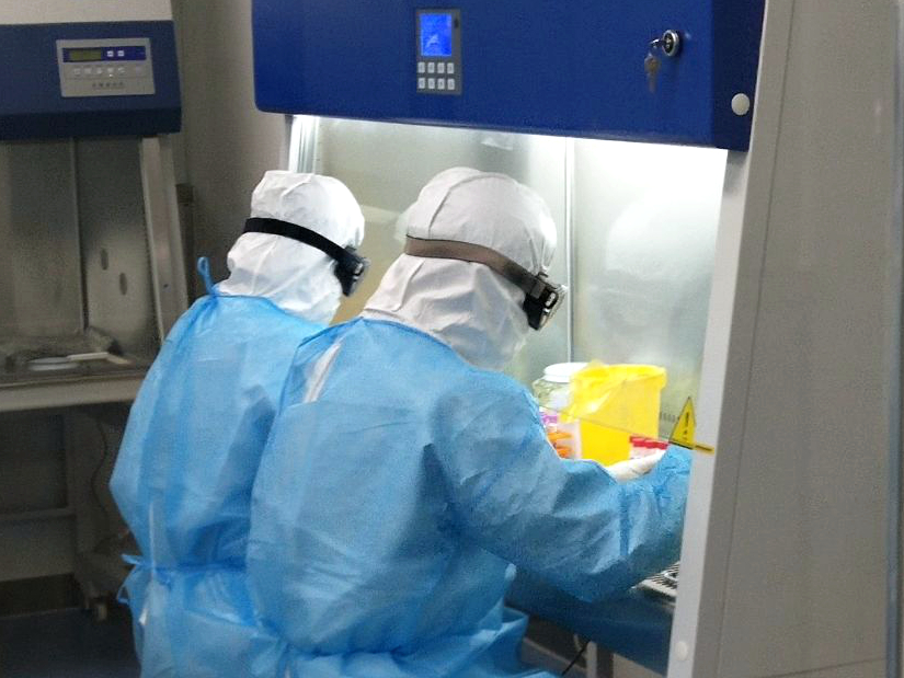 1608164882687033636.jpg PCRʵÑéÊÒ.jpg